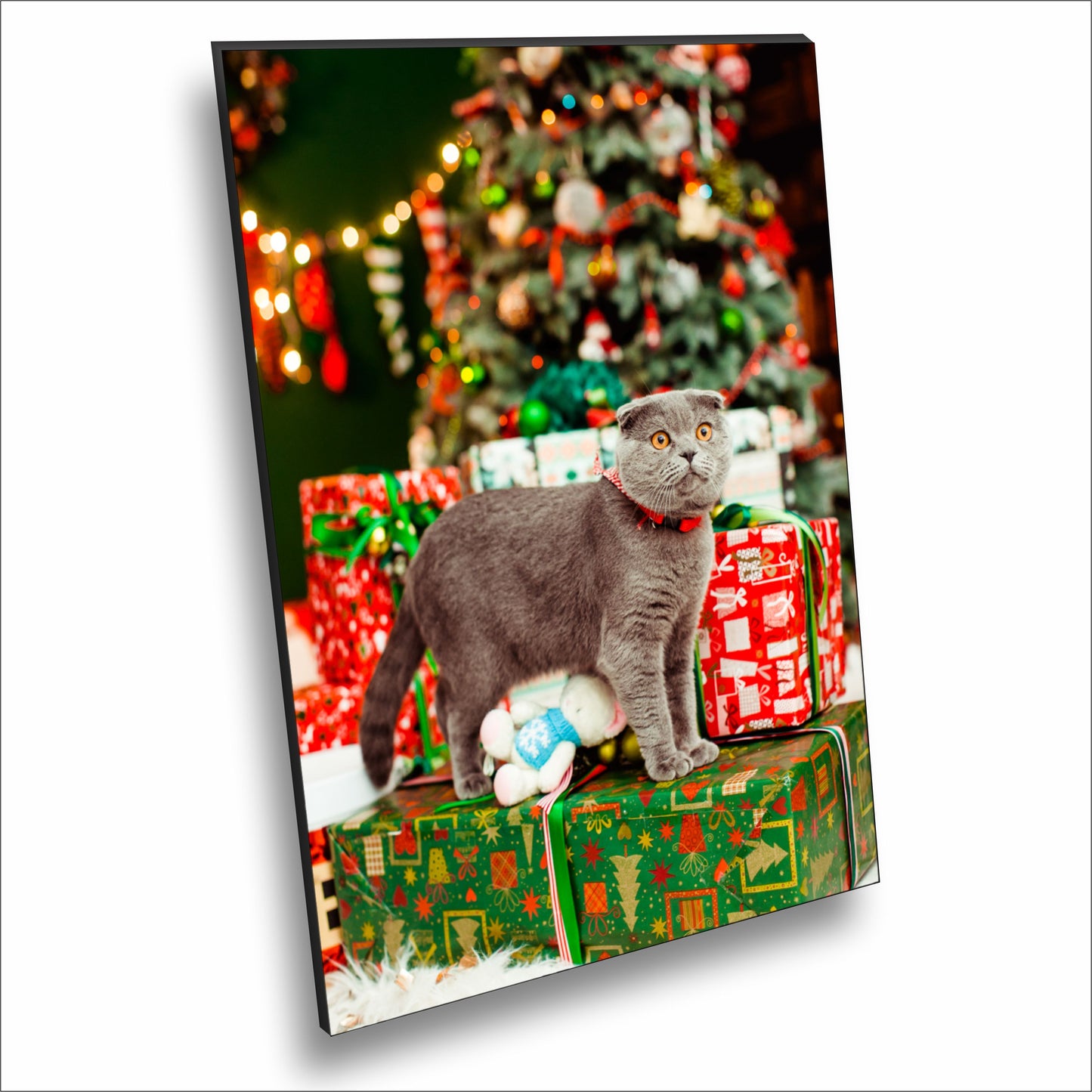 Grey Cat Presents Christmas