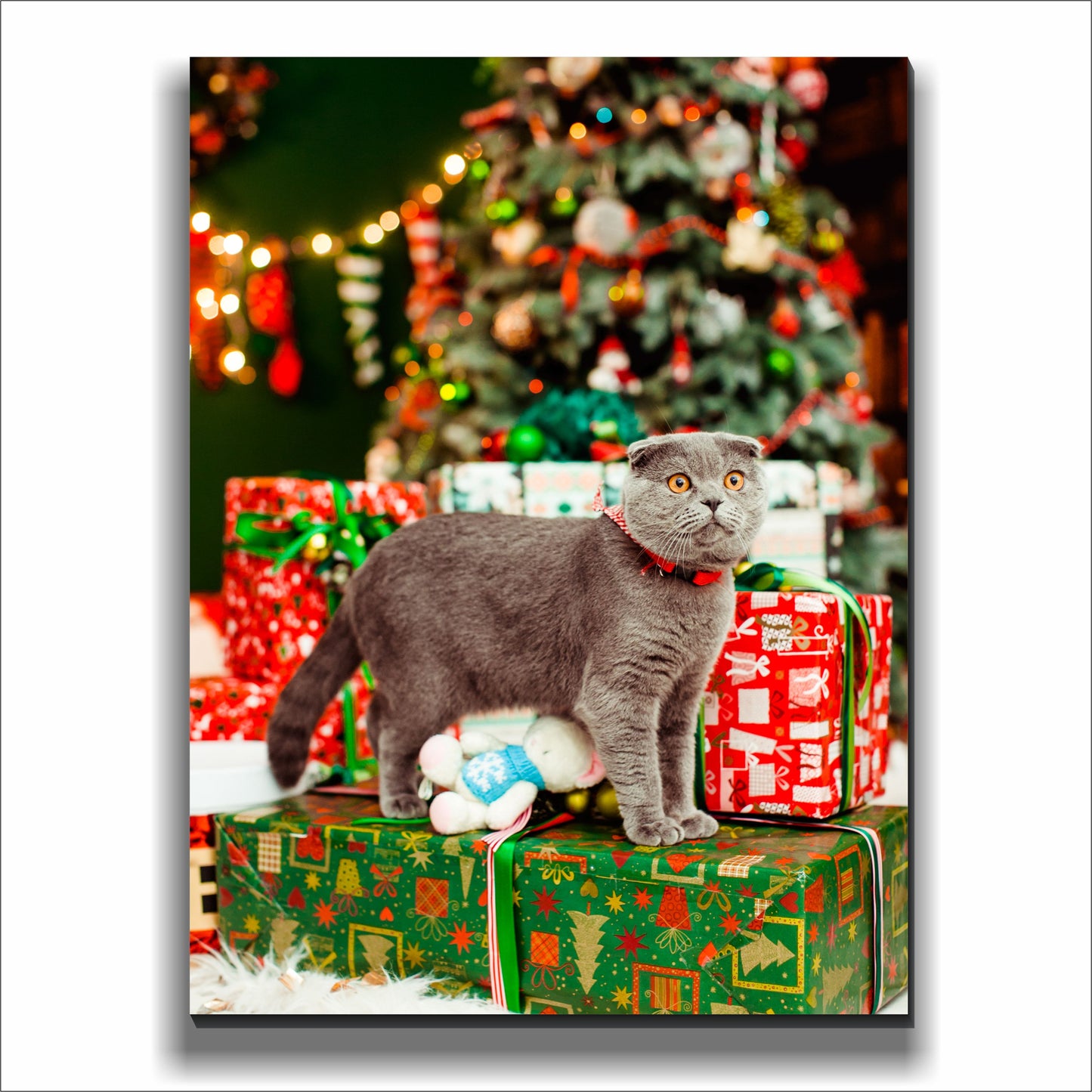 Grey Cat Presents Christmas