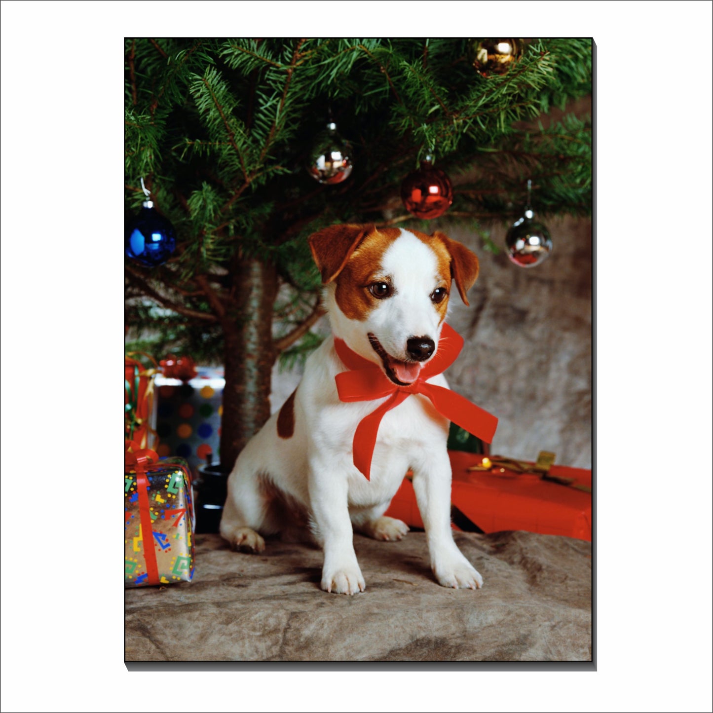 Puppy Red Ribbon Presents Christmas